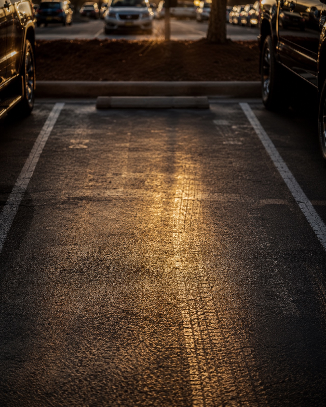 An empty dealership parking space with tire tracks in afternoon light